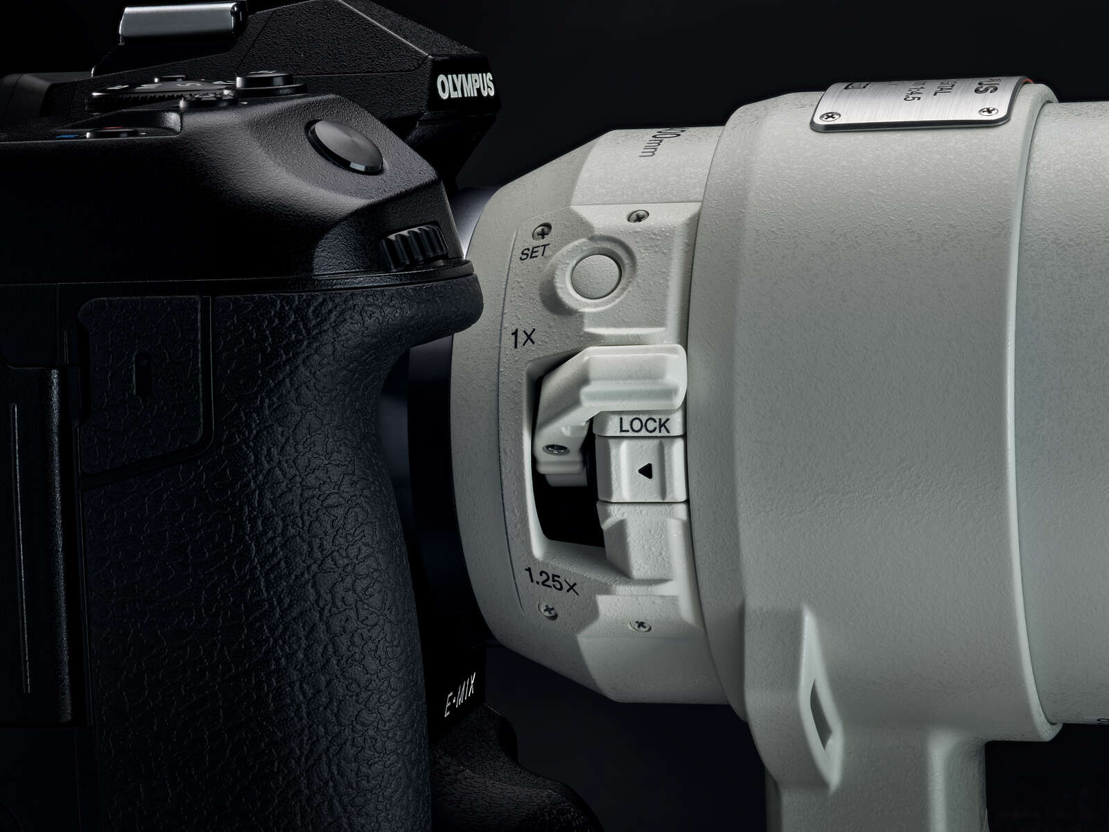 The Ultimate Zoom: Testing the M.Zuiko 150-400mm PRO | OM SYSTEM